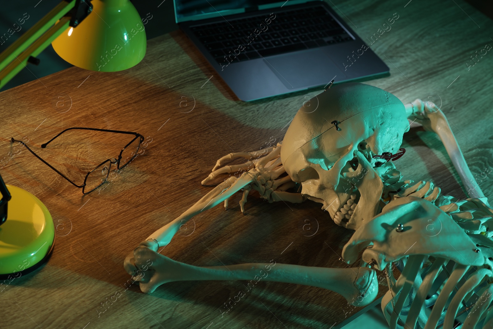 Photo of Waiting concept. Human skeleton sleeping at wooden table with laptop