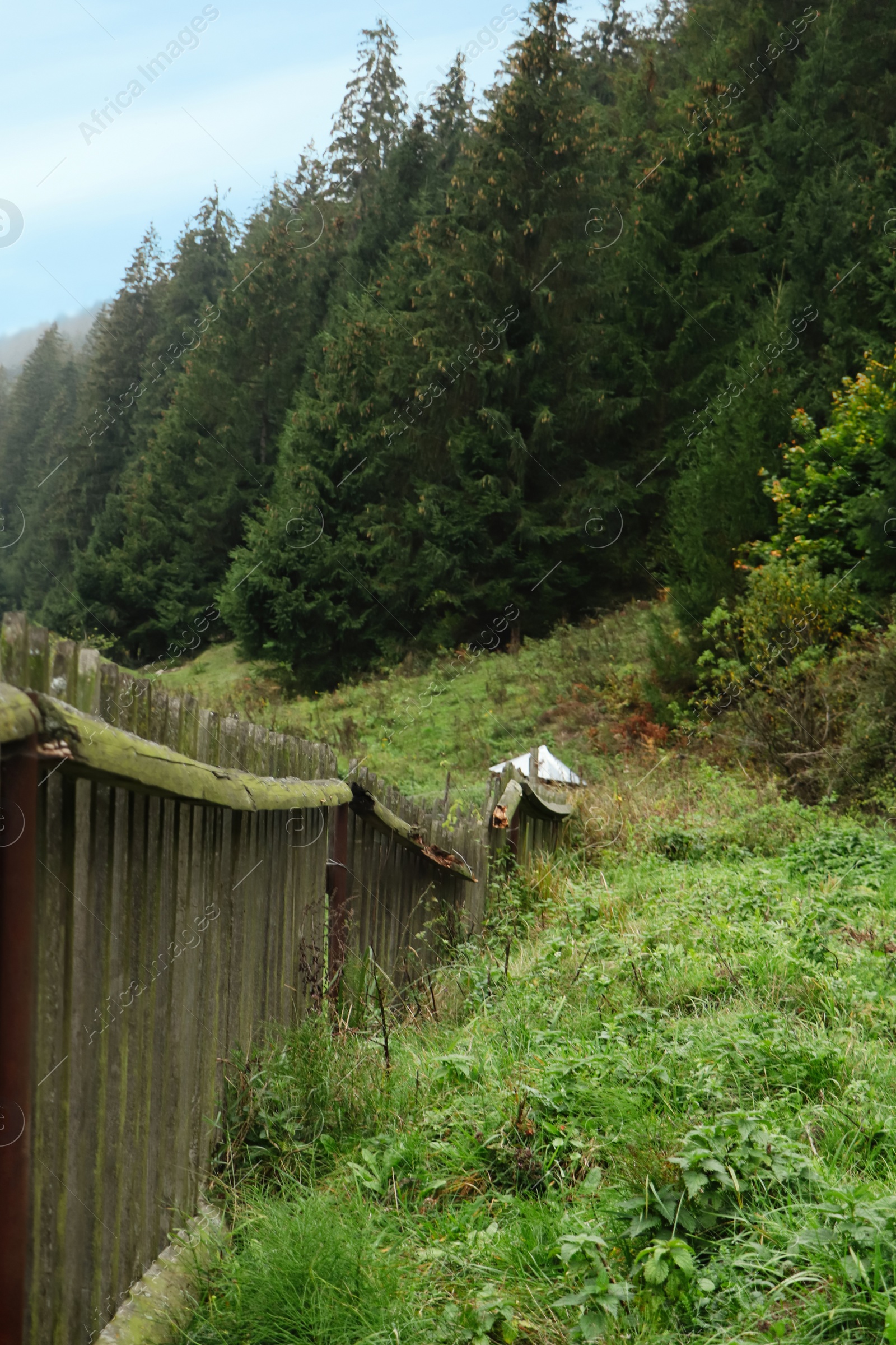 Photo of Beautiful countryside landscape with wooden fence and conifer forest