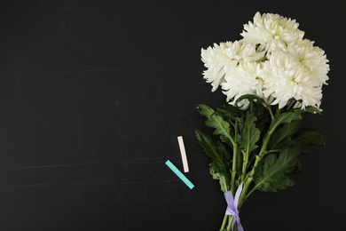 Photo of Chrysanthemum flowers and pieces of chalk on blackboard, flat lay with space for text. Teacher's day