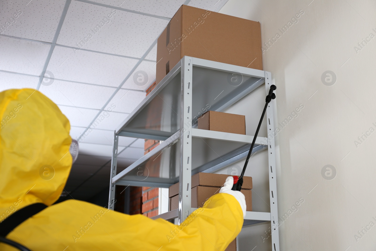Photo of Pest control worker spraying pesticide on rack indoors