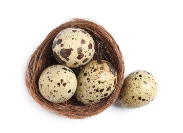 Photo of Nest with quail eggs on white background, top view