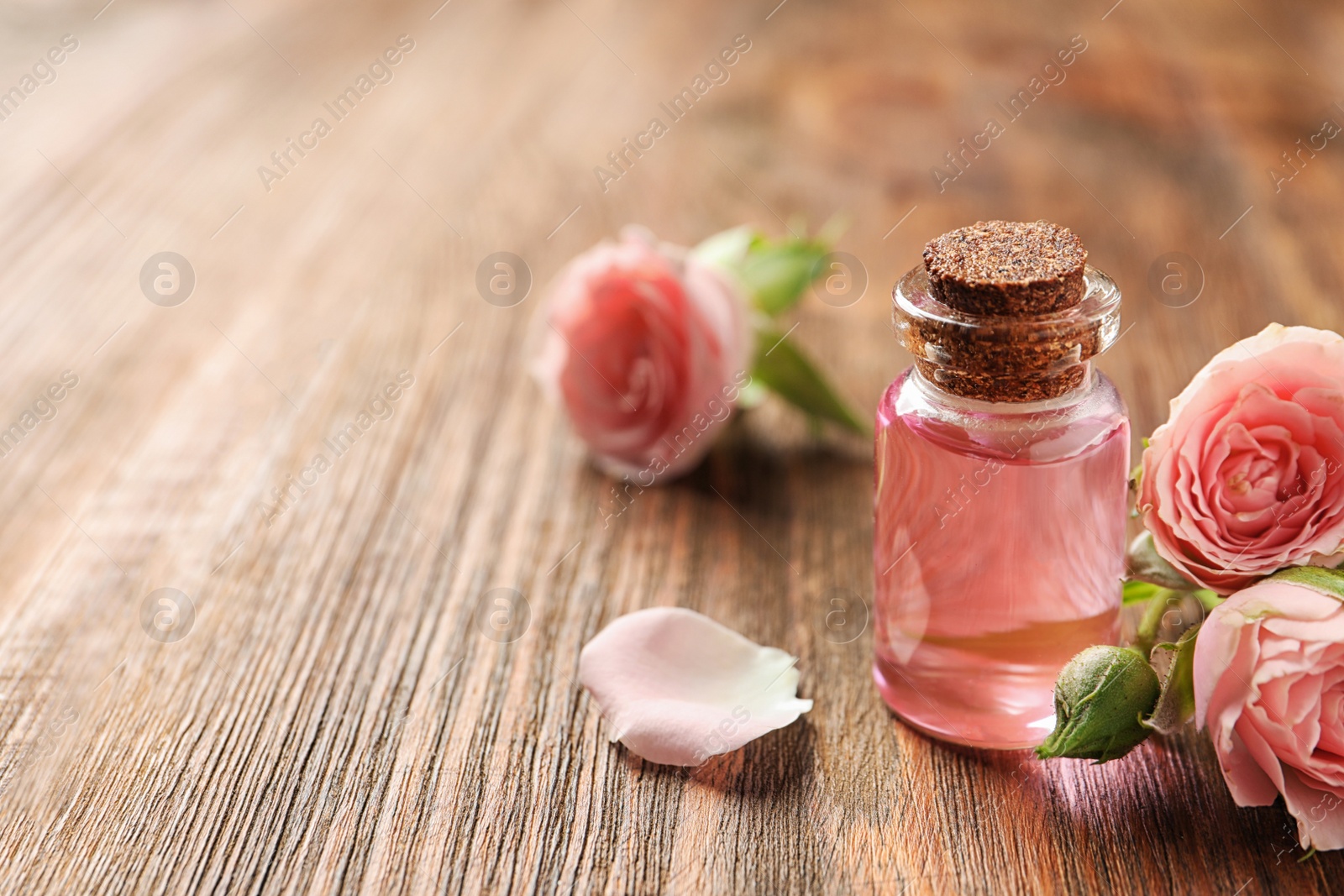 Photo of Bottle of rose essential oil and flowers on wooden table, space for text