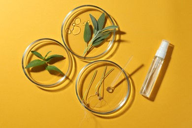 Flat lay composition with Petri dishes and plants on yellow background