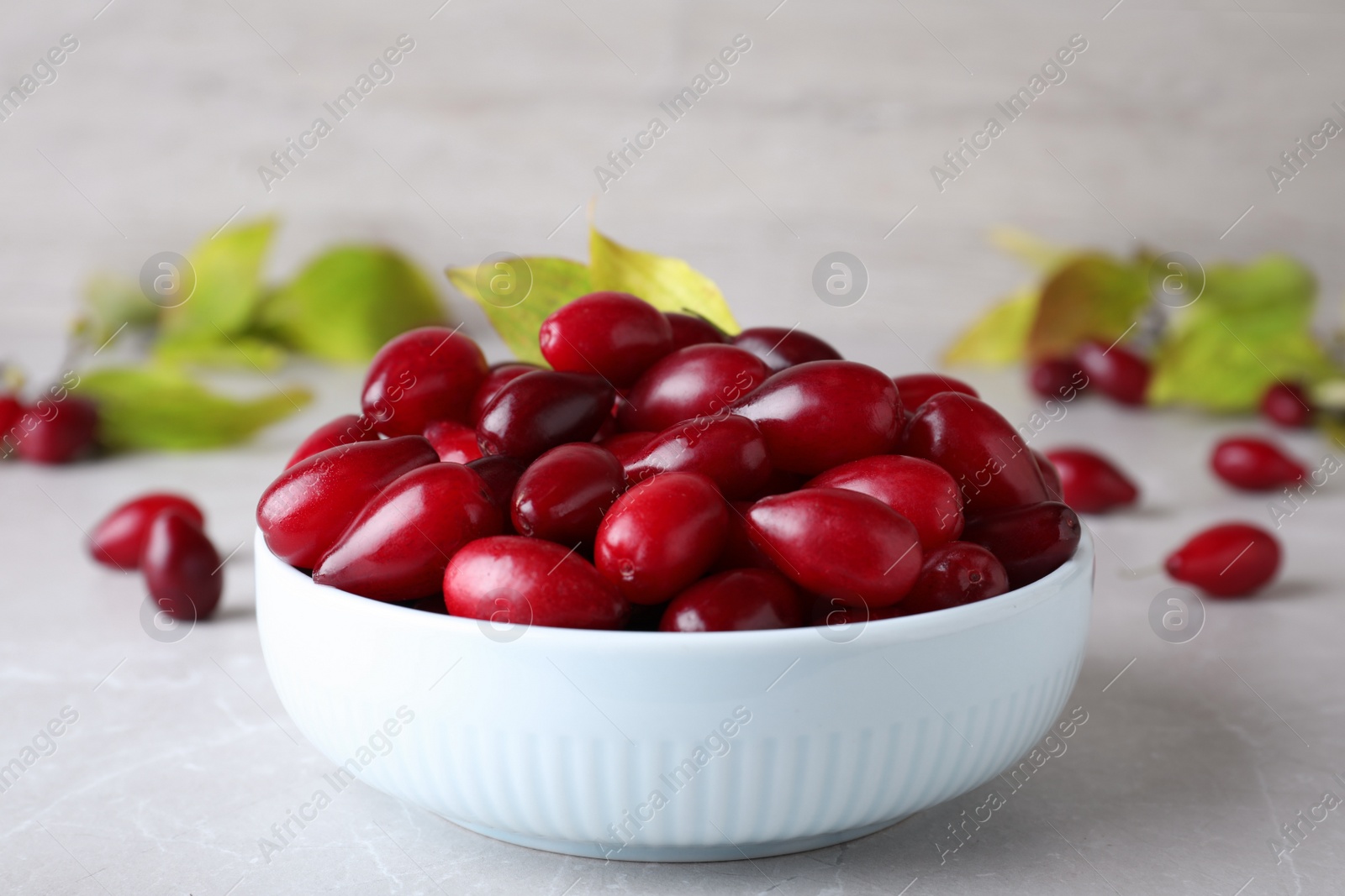 Photo of Fresh ripe dogwood berries in bowl on light grey table, closeup
