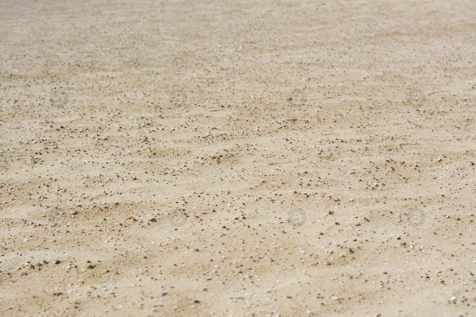 Photo of Texture of dry sandy beach as background