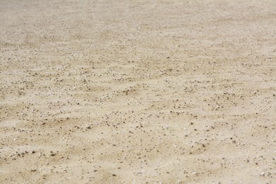 Photo of Texture of dry sandy beach as background