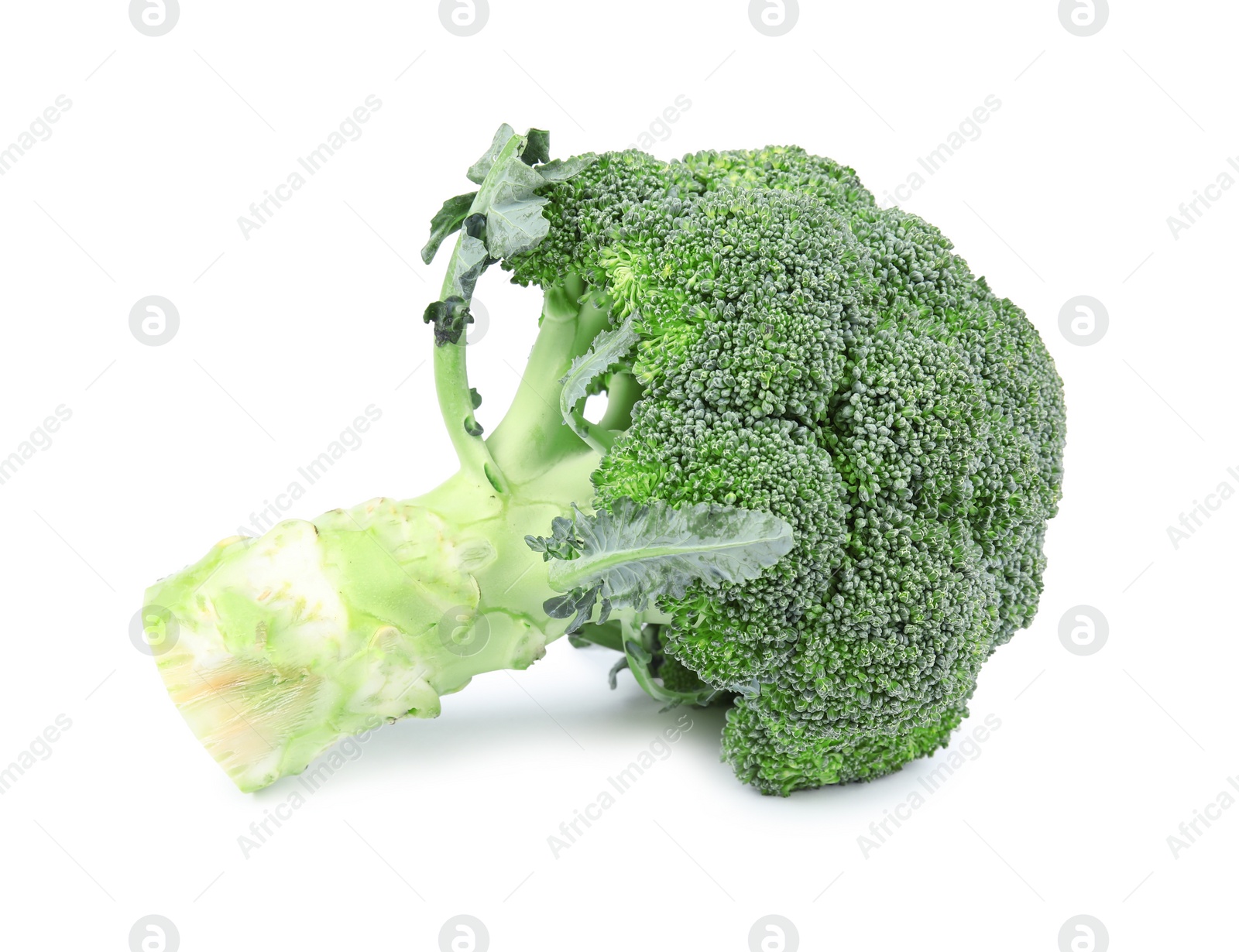 Photo of Fresh green broccoli on white background. Organic food