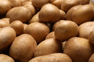 Photo of Raw fresh organic potatoes as background, closeup