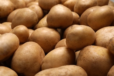 Raw fresh organic potatoes as background, closeup