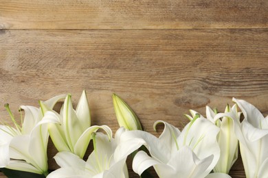 Beautiful white lily flowers on wooden table, flat lay. Space for text