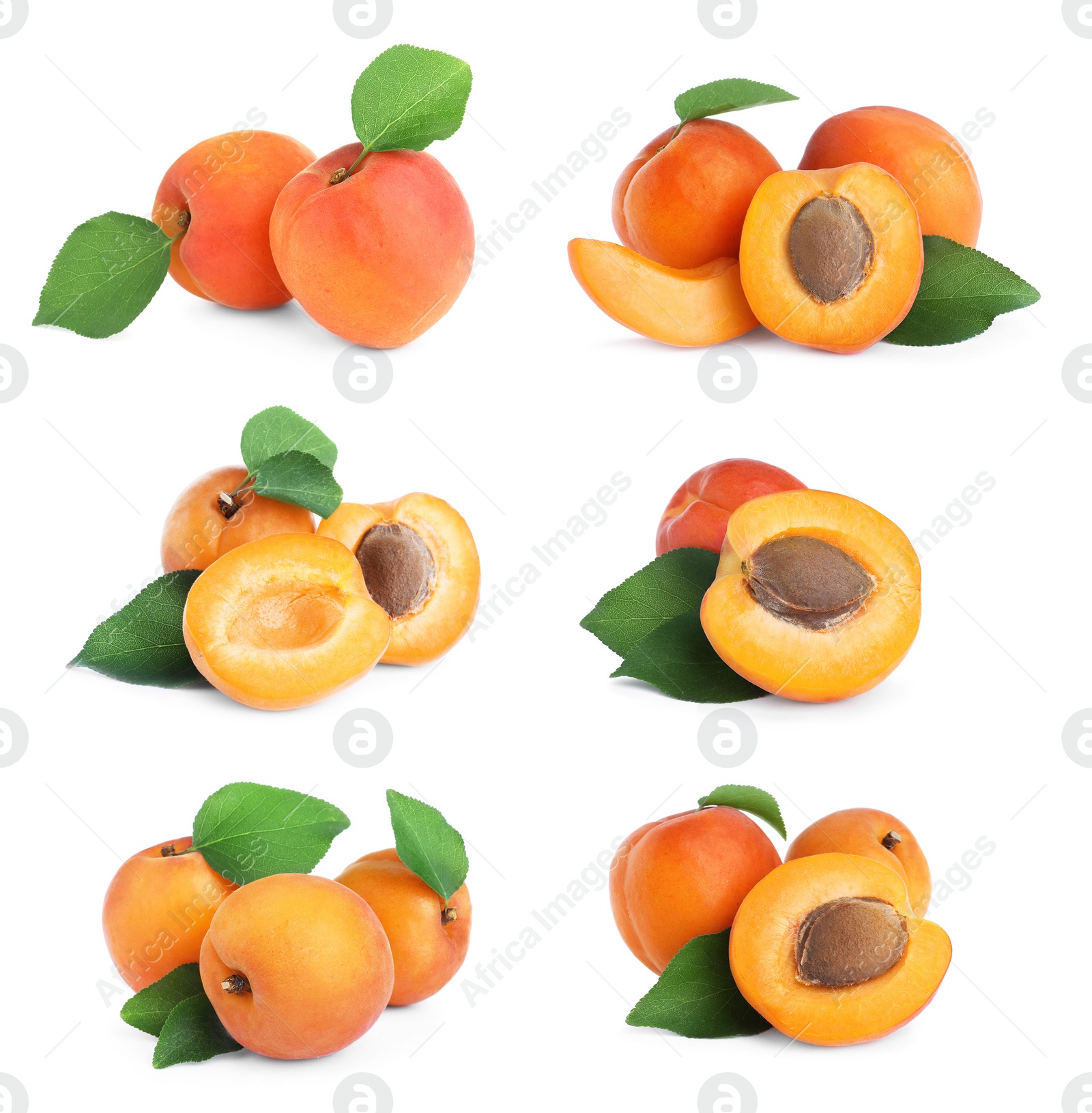 Image of Set of fresh apricots on white background