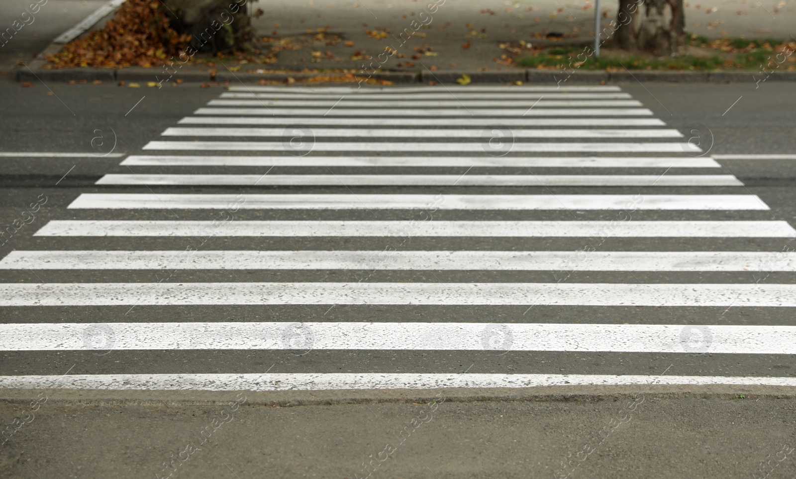 Photo of Pedestrian crossing on empty city street in autumn