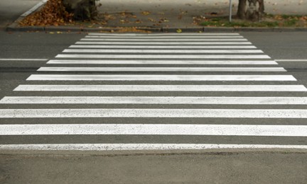 Pedestrian crossing on empty city street in autumn