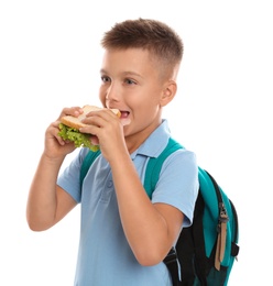 Photo of Little boy eating sandwich on white background. Healthy food for school lunch