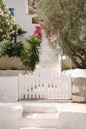 Photo of Beautiful yard behind fence with white wooden gate on sunny day