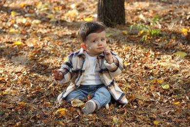 Cute little child on ground with autumn dry leaves outdoors