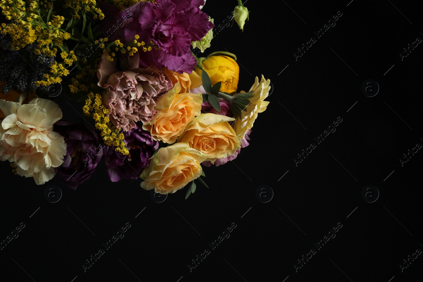 Photo of Beautiful fresh flowers on dark background, space for text