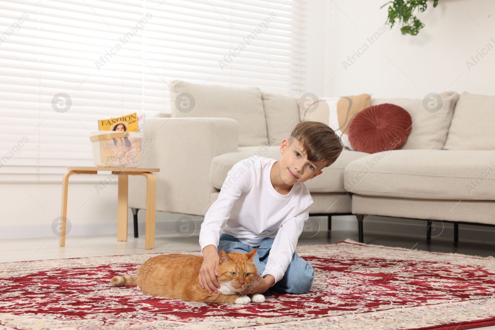 Photo of Little boy petting cute ginger cat on carpet at home