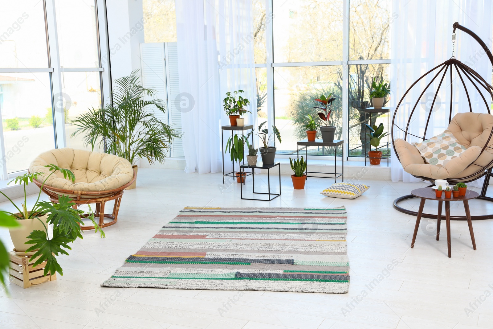 Photo of Living room interior with indoor plants, swing and papasan chairs. Trendy home decor