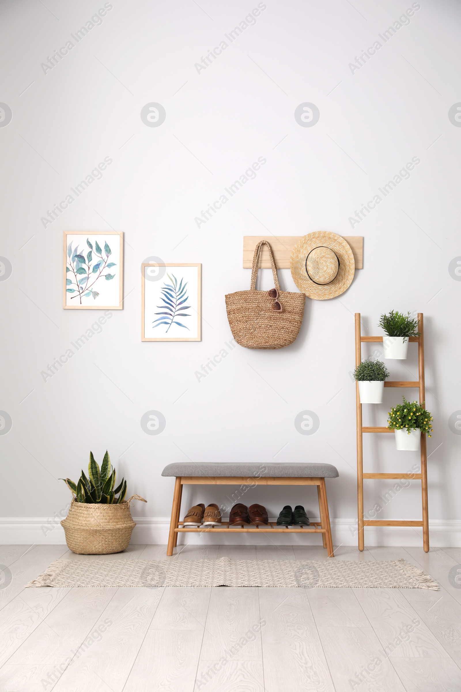 Photo of Beautiful plants and comfortable bench near white wall at home. Idea for interior design