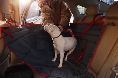 Photo of Woman fastening her cute Jack Russel Terrier dog with safety belt in bag carrier inside car. Pet accessory