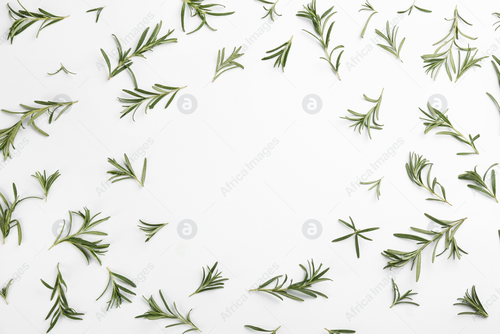 Photo of Frame made of fresh rosemary on white background, top view