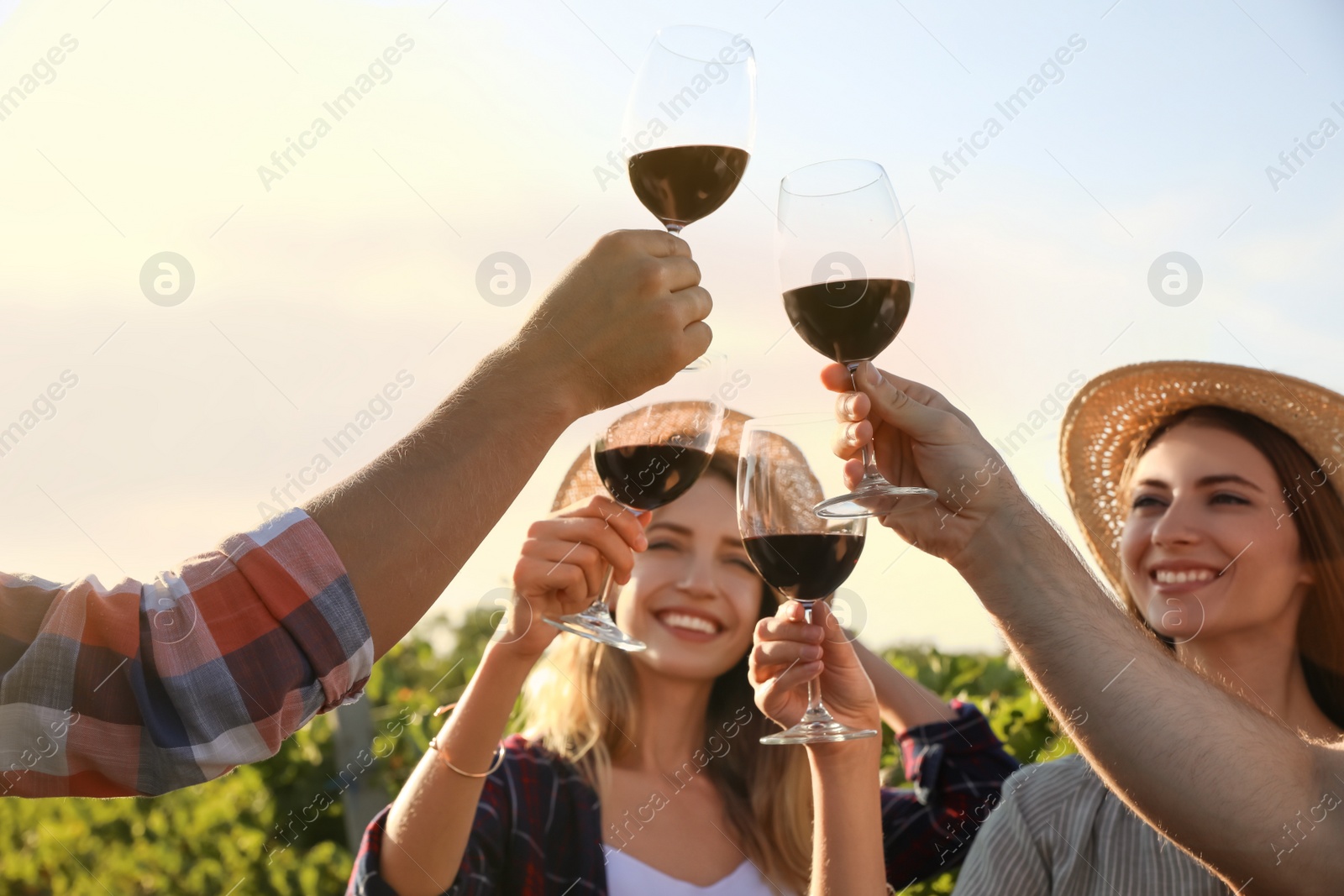 Photo of Friends clinking glasses of red wine in vineyard, focus on hands