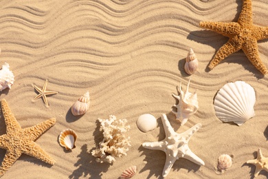 Photo of Starfishes and seashells on beach sand with wave pattern, flat lay. Space for text