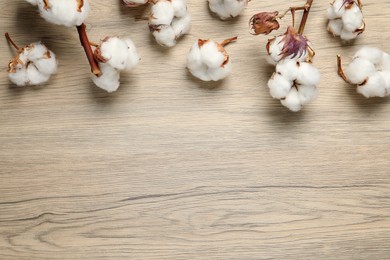 Photo of Dry cotton branches with fluffy flowers on wooden table, flat lay. Space for text
