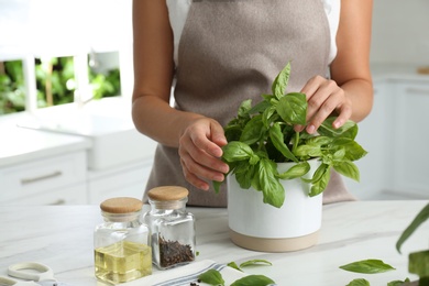 Photo of Woman picking fresh basil at white table in kitchen, closeup