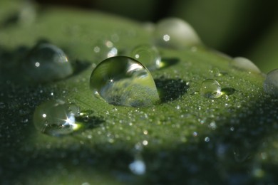 Water drops on green leaf as background, macro view
