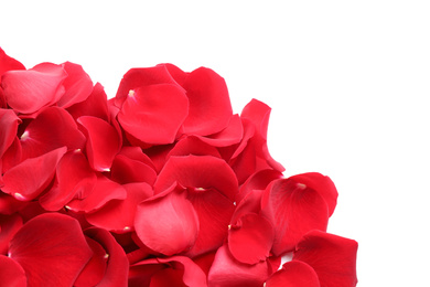 Pile of red rose petals on white background, top view