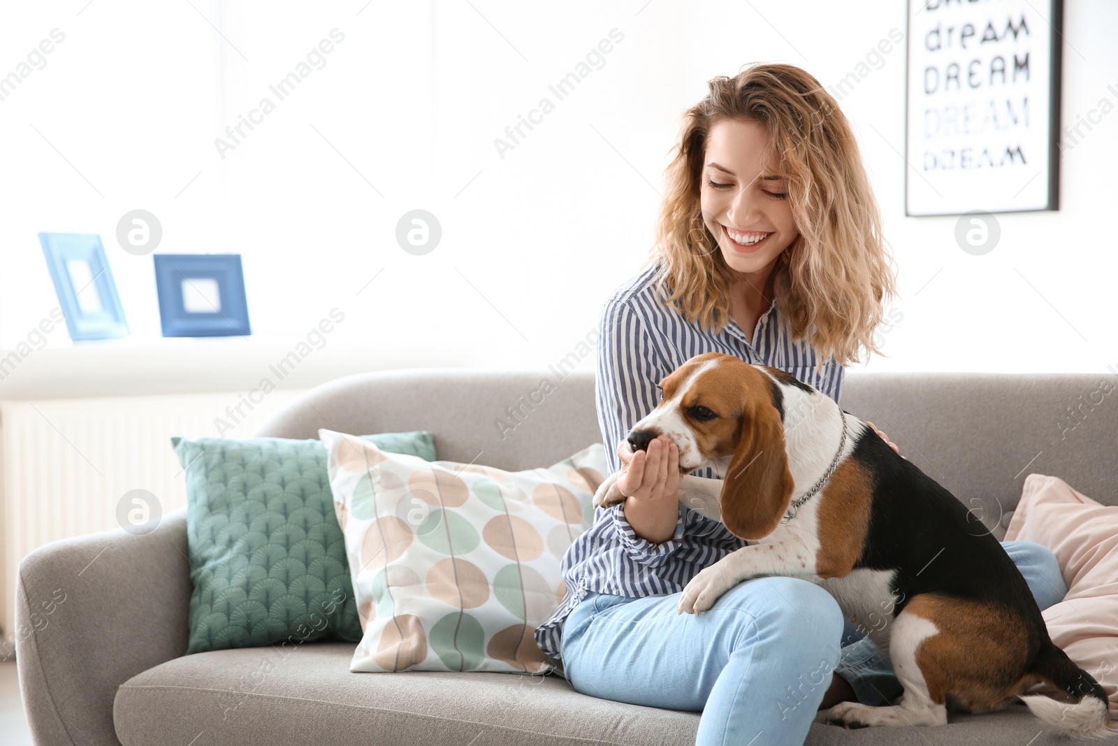 Young woman with her dog on sofa at home Photo of Young woman with her dog on sofa at home