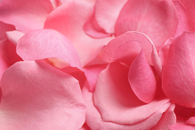 Photo of Fresh pink rose petals as background, closeup