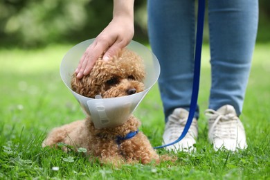 Photo of Woman petting her cute Maltipoo dog in Elizabethan collar outdoors, closeup