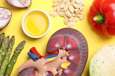 Kidney model and different healthy products on yellow background, flat lay