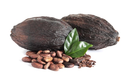 Photo of Cocoa beans, pods and leaves isolated on white