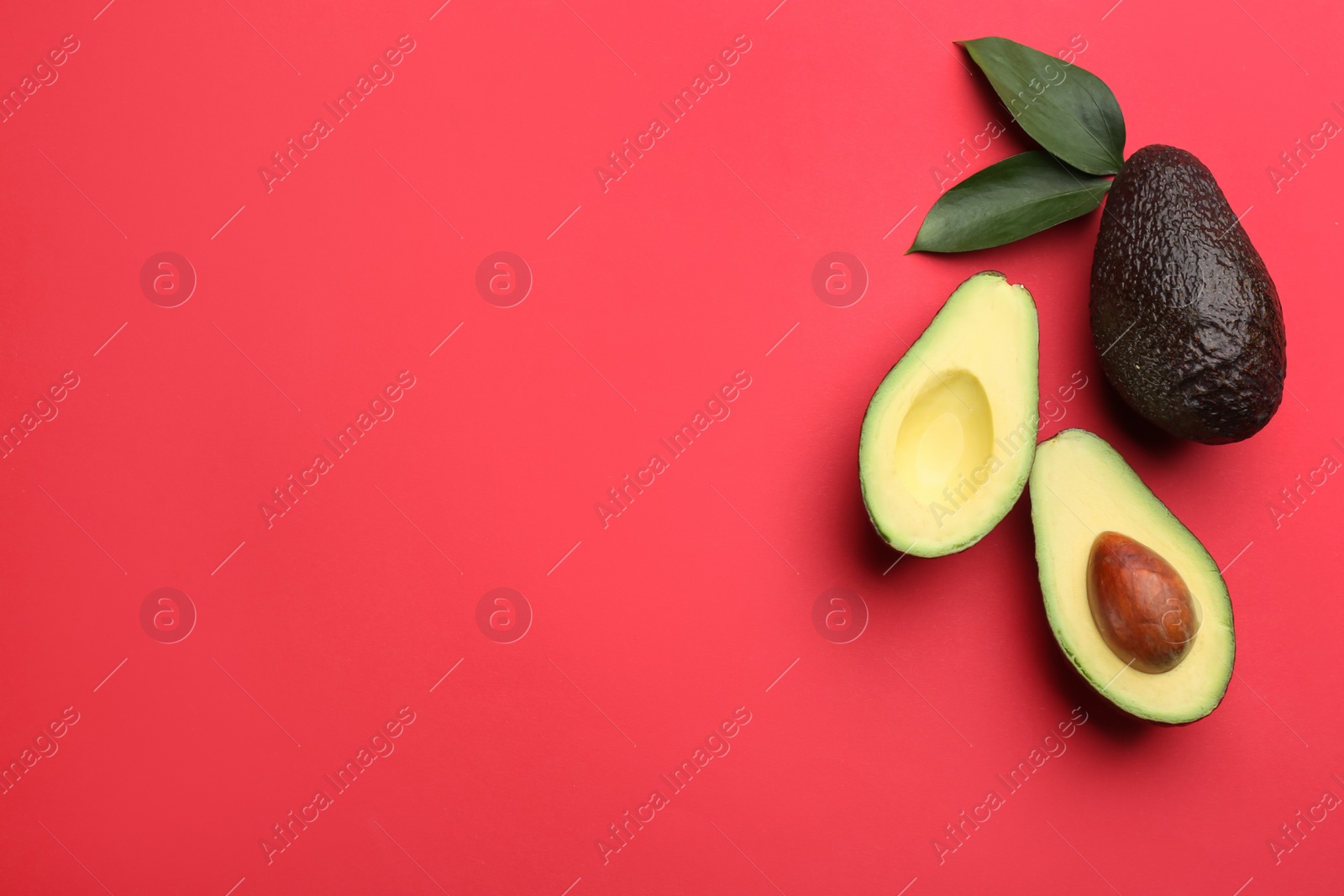 Photo of Whole and cut ripe avocadoes with green leaves on red background, flat lay. Space for text