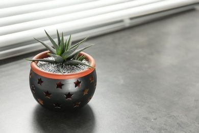 Photo of Green houseplant near window with blinds. Space for text