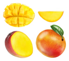 Image of Set with delicious ripe mangos on white background