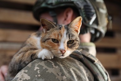 Photo of Ukrainian soldier with little stray cat outdoors, closeup