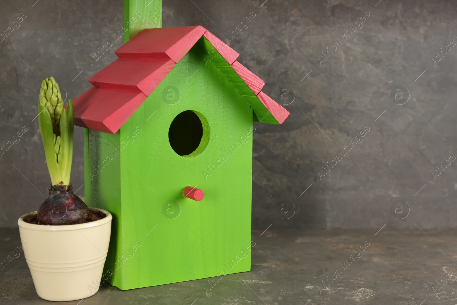 Photo of Beautiful bird house and potted hyacinth flower on grey stone table, space for text