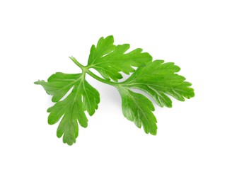Photo of Sprig of fresh green parsley leaves isolated on white