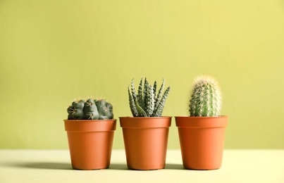 Photo of Beautiful succulent plants in pots on table against yellow background, space for text. Home decor