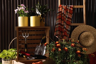 Photo of Beautiful plants, gardening tools and accessories near wood slat wall