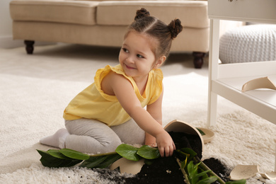 Photo of Little girl near houseplant and broken pot at home