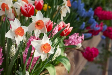 Many different flowers in wooden crate, closeup. Spring season