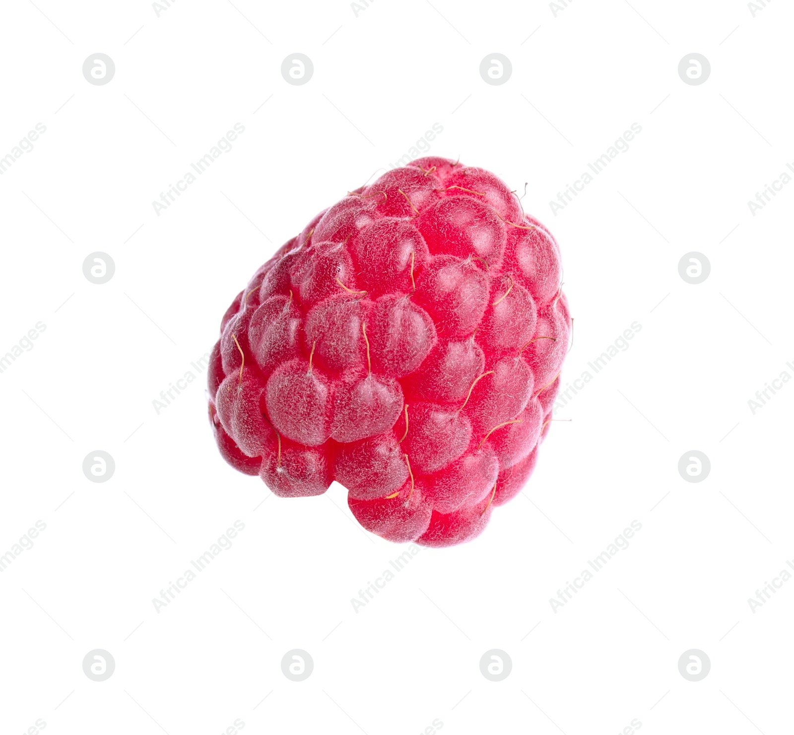 Photo of One fresh ripe raspberry isolated on white