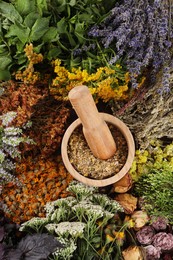 Photo of Mortar with pestle and many different herbs, top view