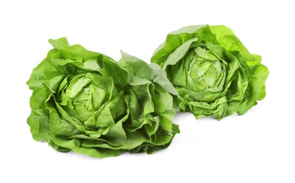 Photo of Fresh green butter lettuce heads isolated on white